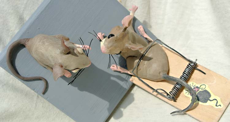 Vermin: Mice